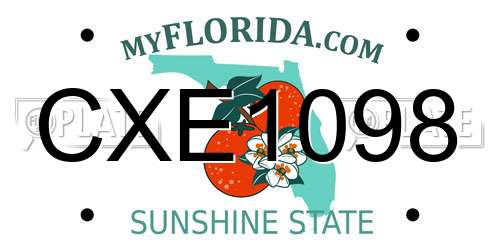 CXE1098 Florida License Plate