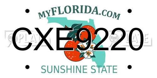 CXE9220 Florida License Plate