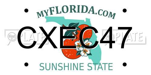 CXEC47 Florida License Plate