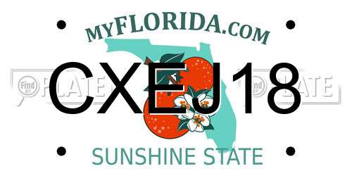 CXEJ18 Florida License Plate