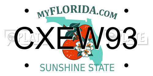 CXEW93 Florida License Plate
