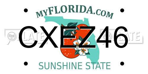 CXEZ46 Florida License Plate