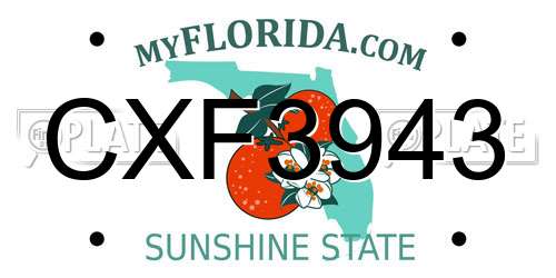 CXF3943 Florida License Plate