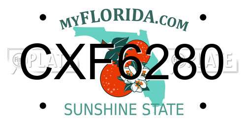 CXF6280 Florida License Plate
