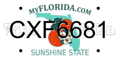 CXF6681 Florida License Plate
