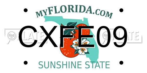 CXFE09 Florida License Plate