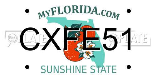CXFE51 Florida License Plate