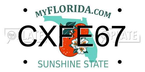 CXFE67 Florida License Plate