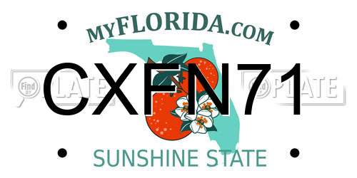 CXFN71 Florida License Plate