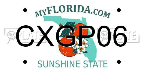 CXGP06 Florida License Plate