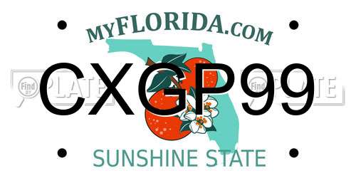 CXGP99 Florida License Plate