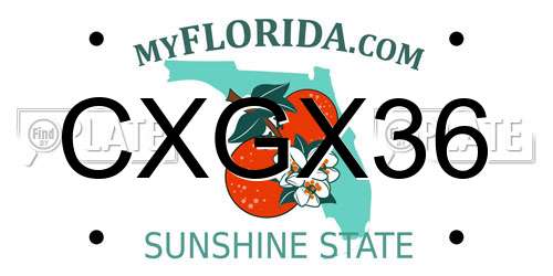 CXGX36 Florida License Plate