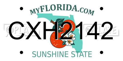 CXH2142 Florida License Plate