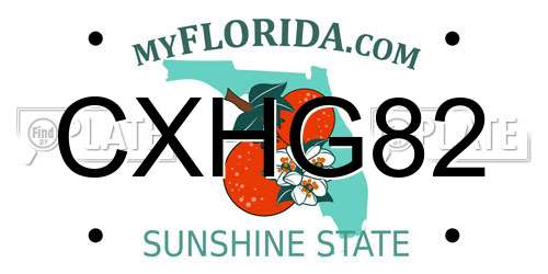 CXHG82 Florida License Plate