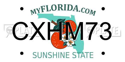 CXHM73 Florida License Plate