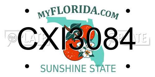 CXI3084 Florida License Plate