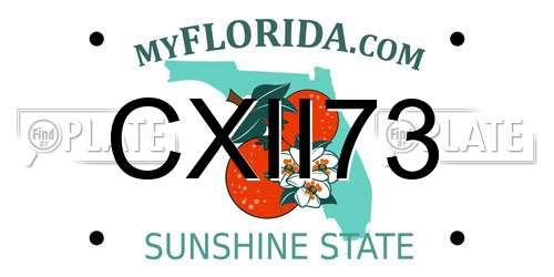 CXII73 Florida License Plate