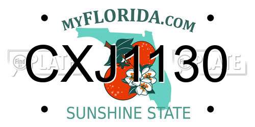 CXJ1130 Florida License Plate