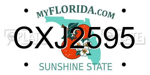 CXJ2595 Florida License Plate