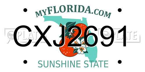 CXJ2691 Florida License Plate