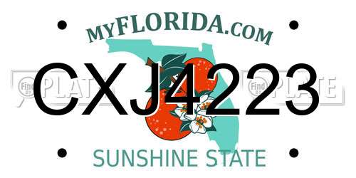 CXJ4223 Florida License Plate