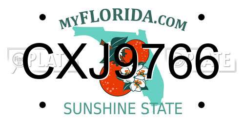 CXJ9766 Florida License Plate
