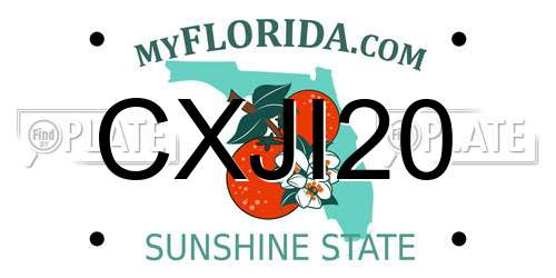 CXJI20 Florida License Plate