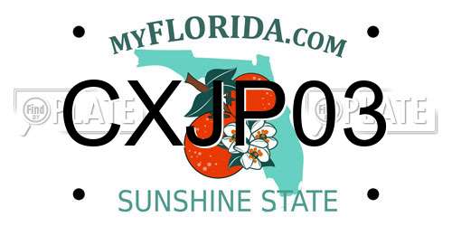 CXJP03 Florida License Plate