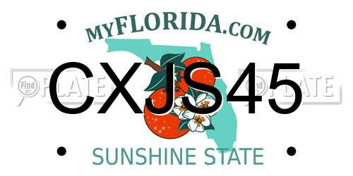CXJS45 Florida License Plate