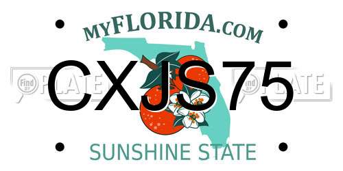 CXJS75 Florida License Plate