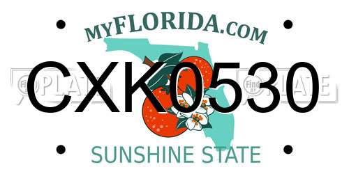 CXK0530 Florida License Plate