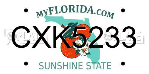 CXK5233 Florida License Plate