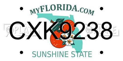 CXK9238 Florida License Plate