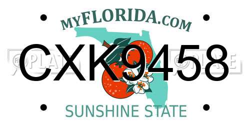 CXK9458 Florida License Plate