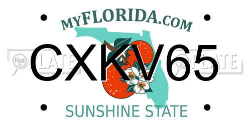 CXKV65 Florida License Plate