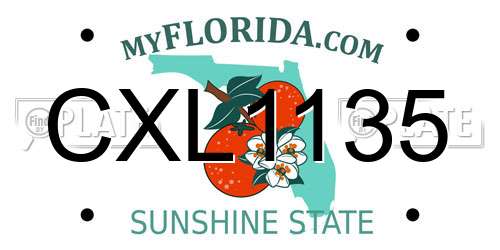 CXL1135 Florida License Plate