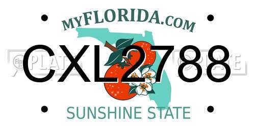 CXL2788 Florida License Plate