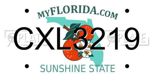 CXL3219 Florida License Plate