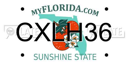 CXLH36 Florida License Plate