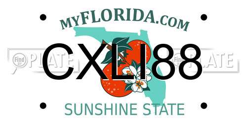 CXLI88 Florida License Plate