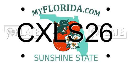 CXLS26 Florida License Plate