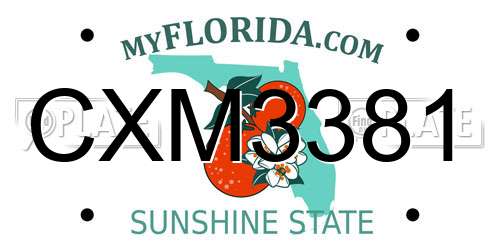 CXM3381 Florida License Plate