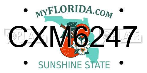 CXM6247 Florida License Plate
