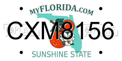 CXM8156 Florida License Plate