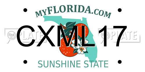 CXML17 Florida License Plate