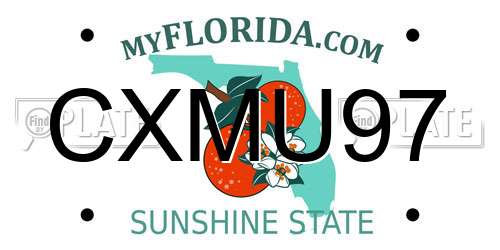 CXMU97 Florida License Plate