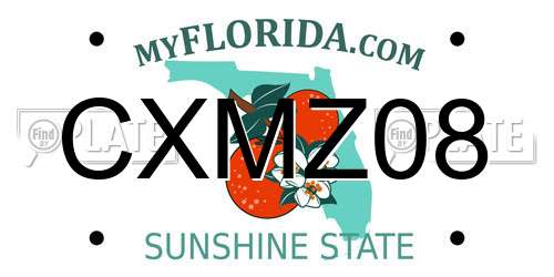 CXMZ08 Florida License Plate
