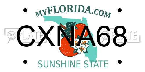 CXNA68 Florida License Plate