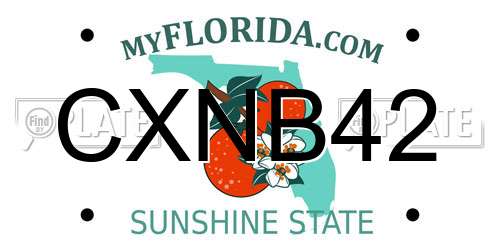 CXNB42 Florida License Plate