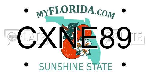 CXNE89 Florida License Plate